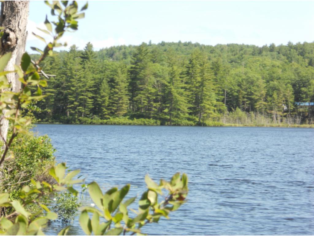 0 French Pond Road Antrim, NH 03440 - Photo 2 of 5 Gallery Image 2