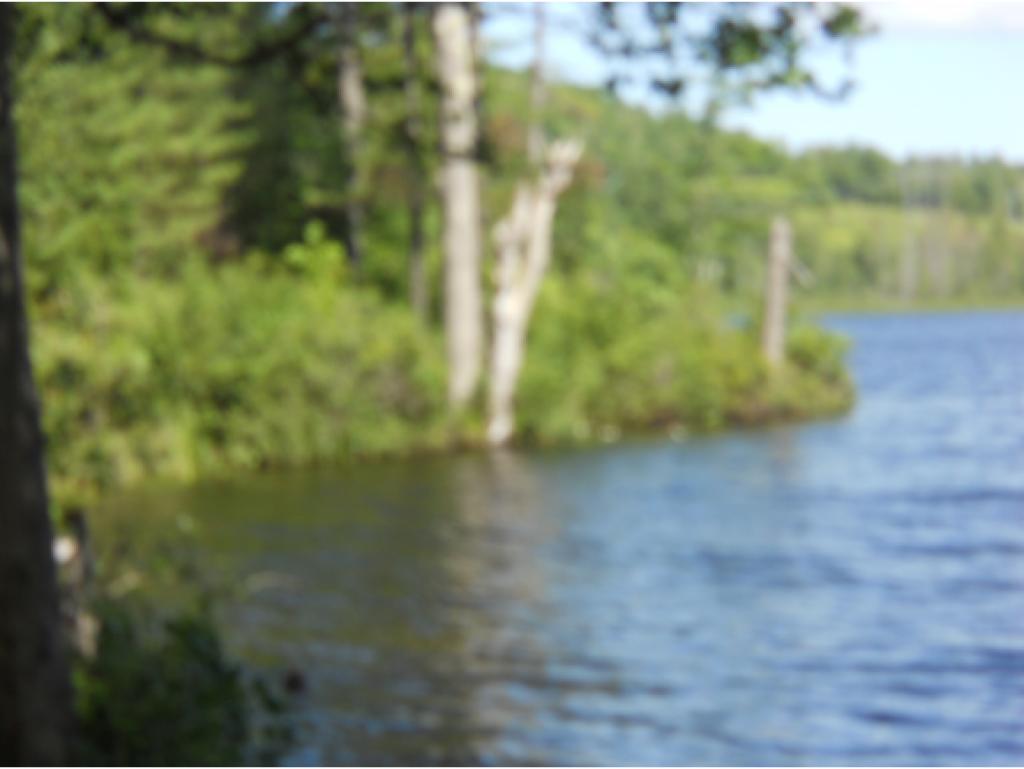 0 French Pond Road Antrim, NH 03440 - Photo 4 of 5 Gallery Image 4