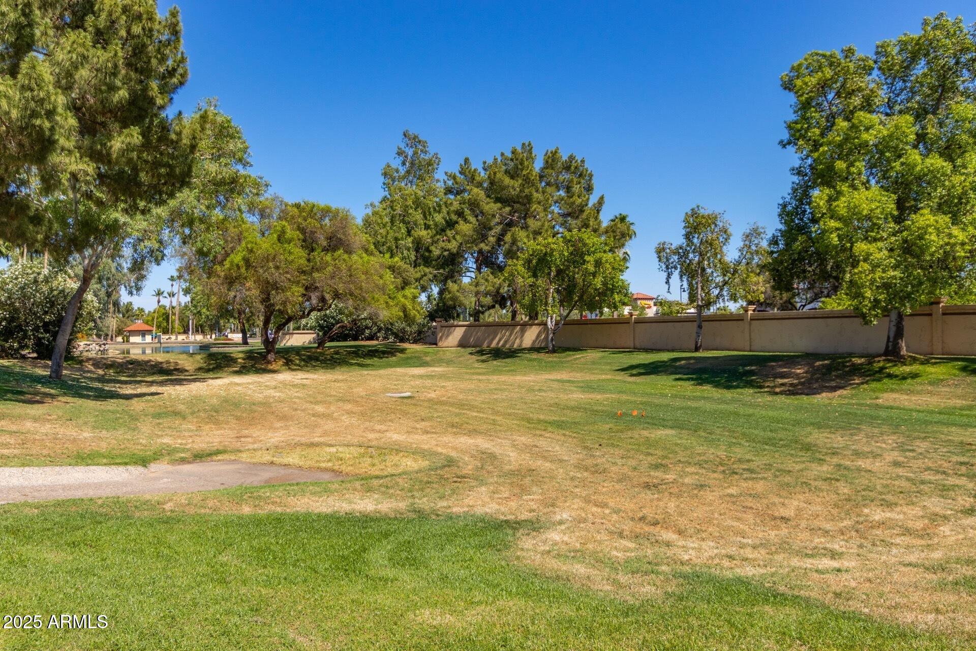 14300 West Bell Road, Unit 440 Surprise, AZ 85374 - Photo 31 of 40 a view of yard with green space