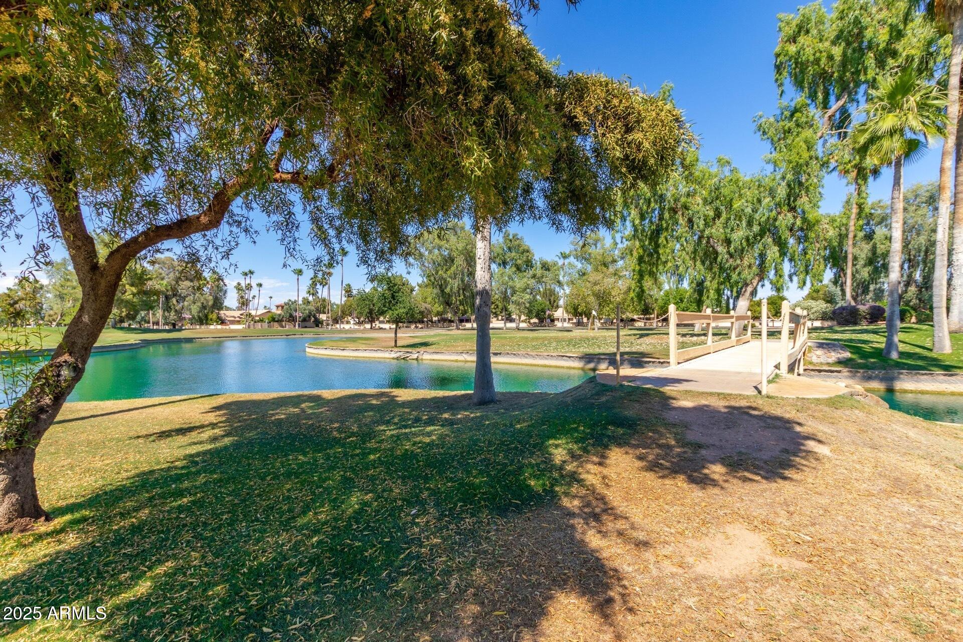 14300 West Bell Road, Unit 440 Surprise, AZ 85374 - Photo 35 of 40 a view of a yard with palm trees
