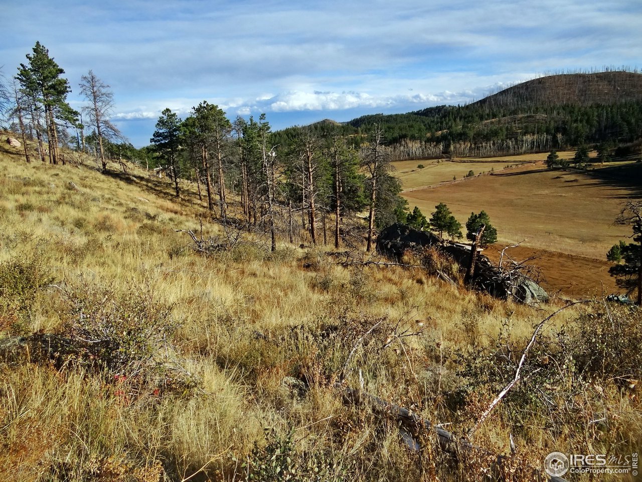 1330 Stratton Park Road Bellvue, CO 80512 - Photo 3 of 14