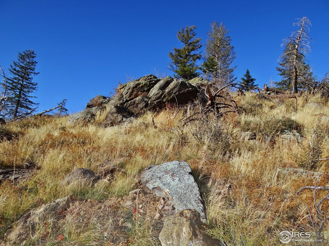 1330 Stratton Park Road Bellvue, CO 80512 - Photo 5 of 14