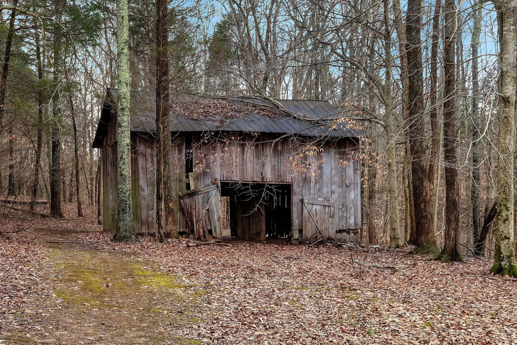 3063 Sweethome Road Chapmansboro, TN 37035 - Photo 39 of 55 a view of a barn