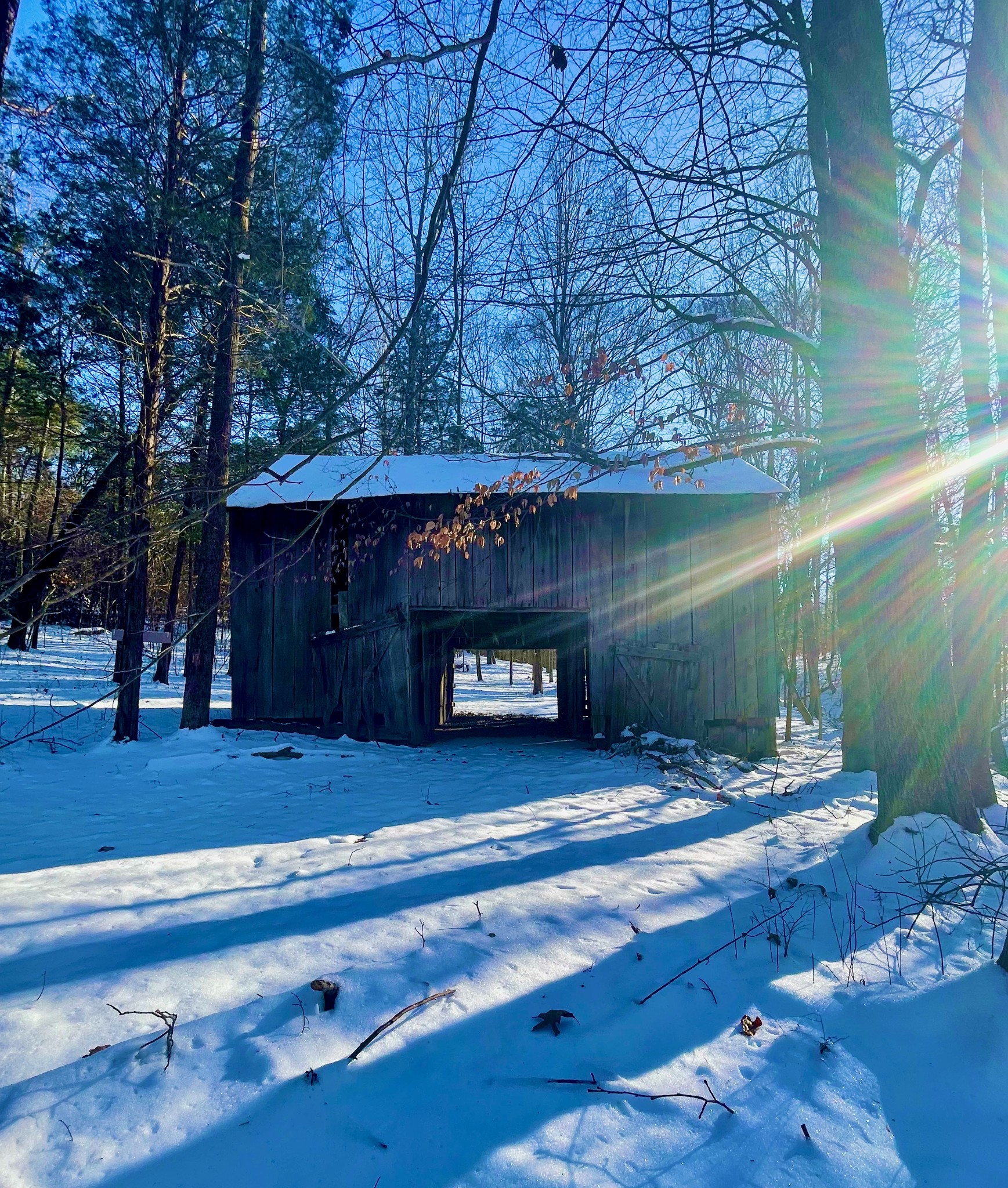 3063 Sweethome Road Chapmansboro, TN 37035 - Photo 40 of 55 a view of a house with a yard