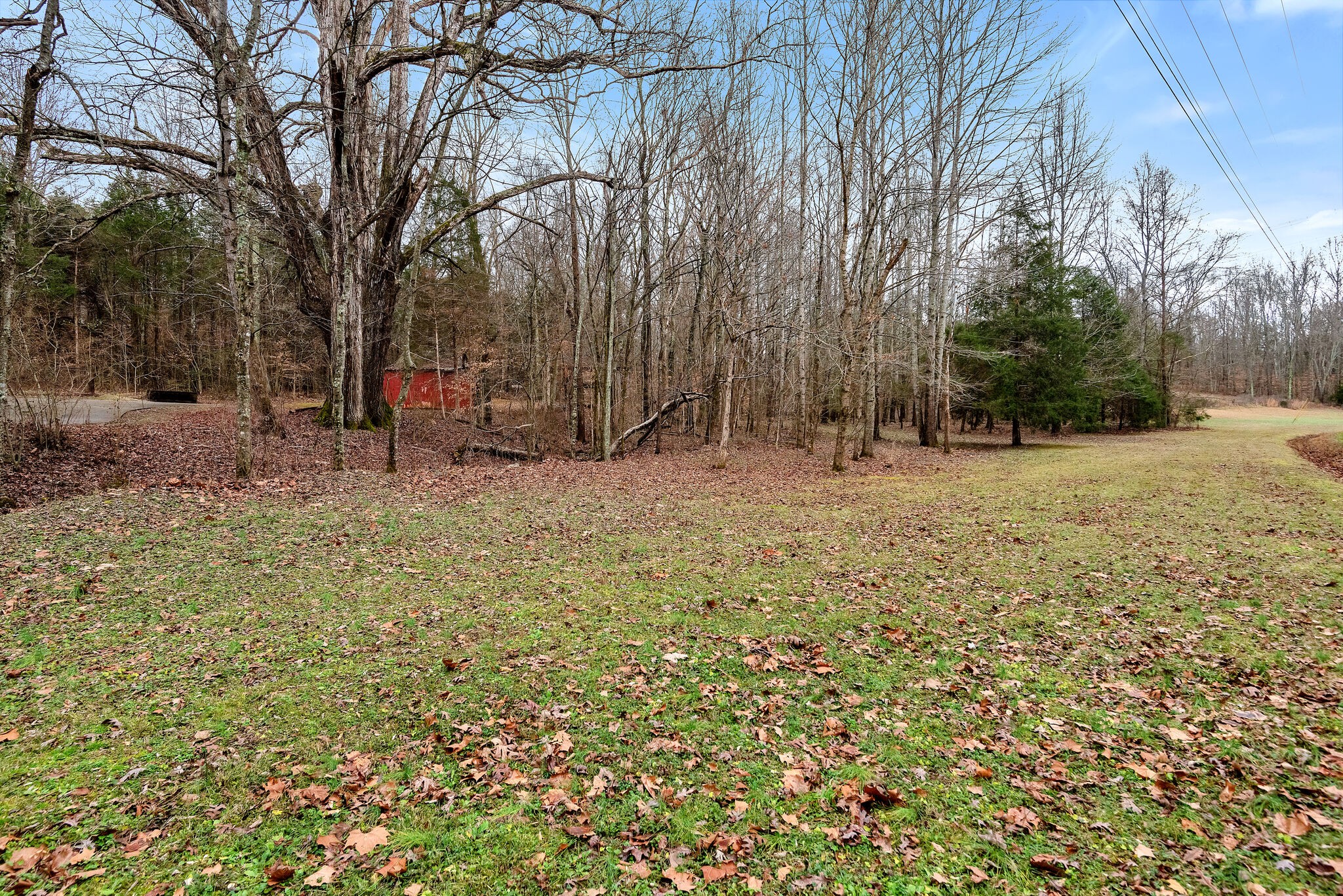 3063 Sweethome Road Chapmansboro, TN 37035 - Photo 42 of 55 a backyard of a house with large trees