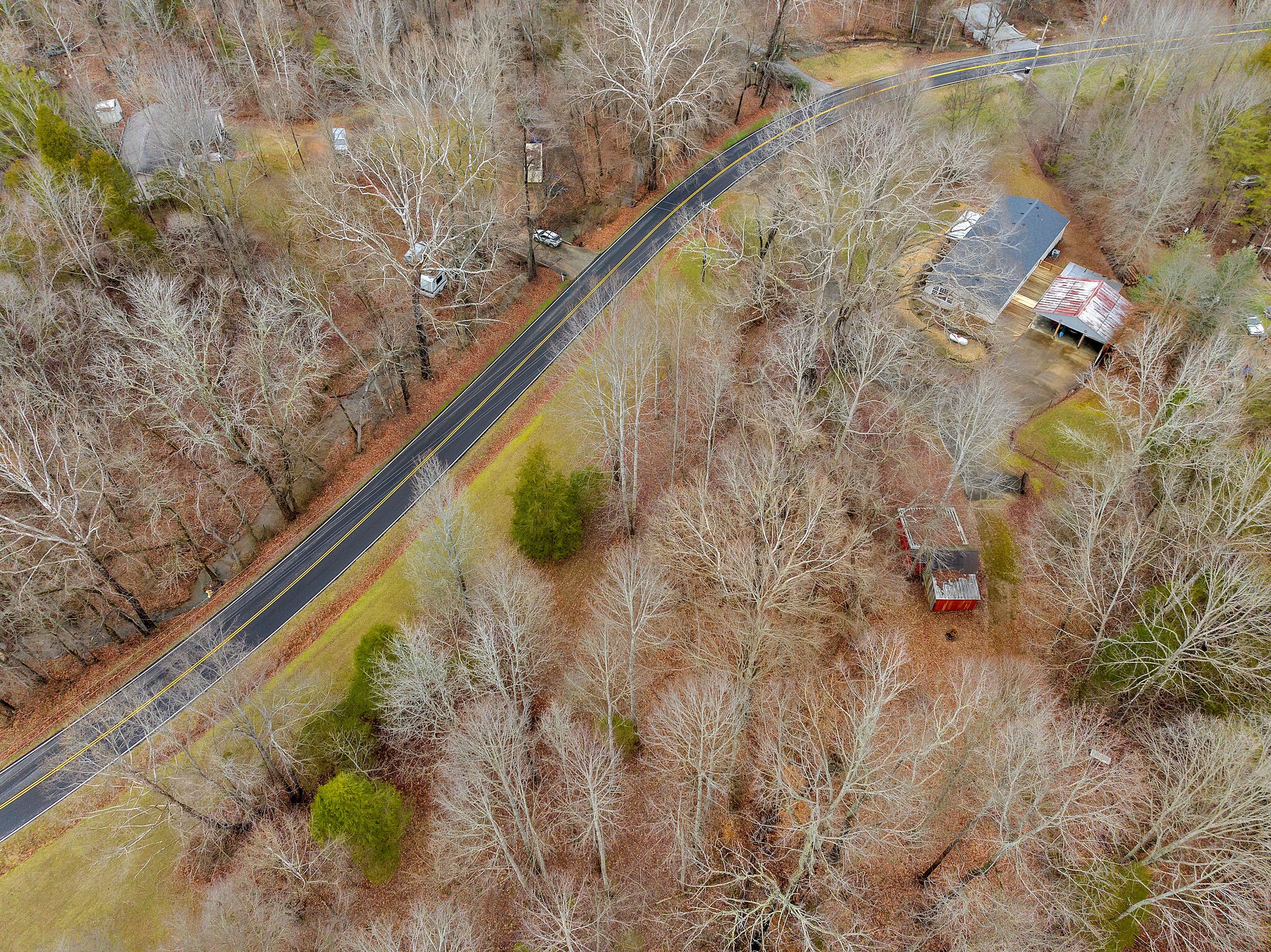 3063 Sweethome Road Chapmansboro, TN 37035 - Photo 45 of 55 a view of swimming pool with a yard
