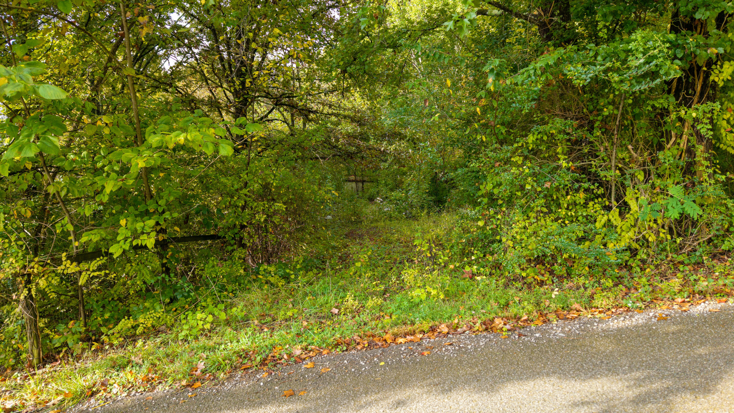 429 Incline Road Whitwell, TN 37397 - Photo 15 of 16 DJI_20251008214037_0494_D-HDR_3738