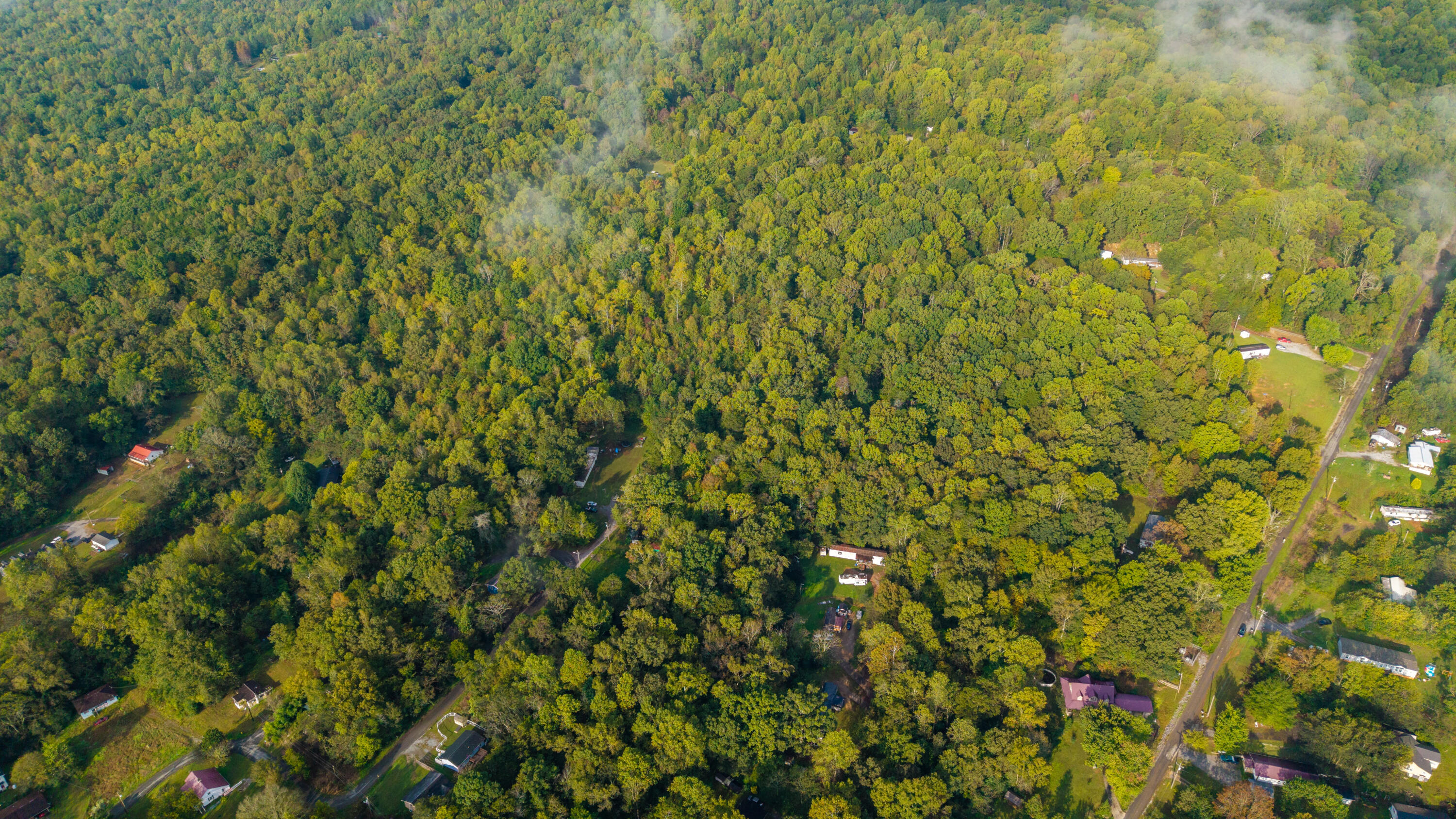 429 Incline Road Whitwell, TN 37397 - Photo 8 of 16 DJI_20251008212926_0467_D-HDR_3924