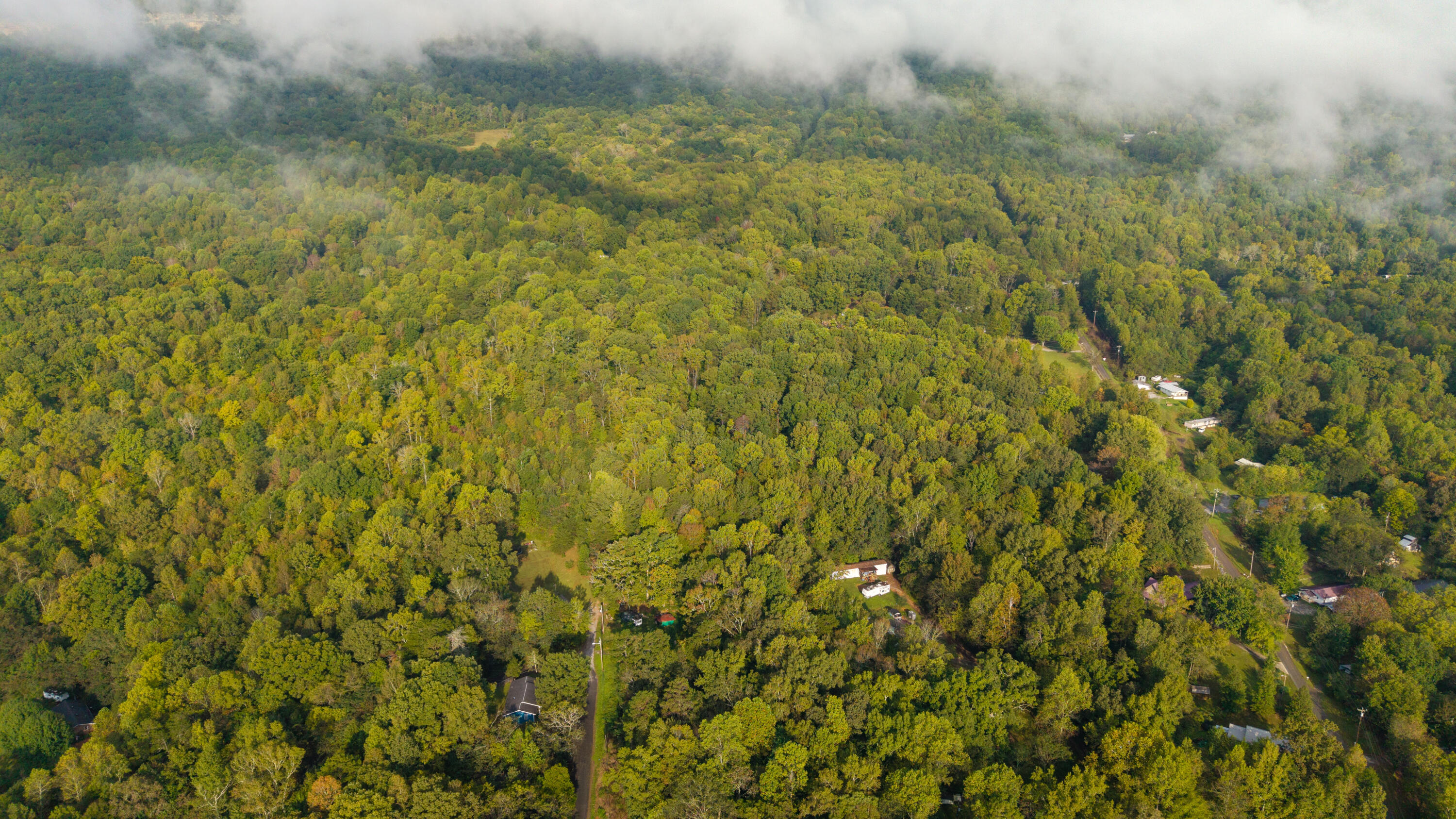 429 Incline Road Whitwell, TN 37397 - Photo 9 of 16 DJI_20251008213011_0470_D-HDR_9826