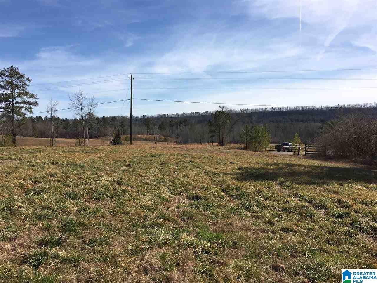 0 Shoal Creek Road, Unit 10 AC Ashville, AL 35953 - Photo 6 of 13