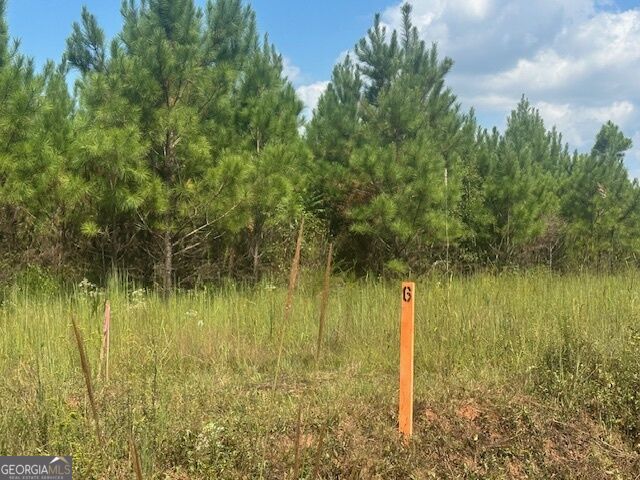 0 Cook Road, Unit TRACT #6 Monticello, GA 31064 - Photo 1 of 15 Gallery Image 1