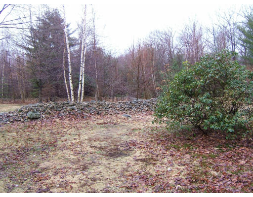 46 Paradise Lake Road Monson, MA 01057 - Photo 7 of 10 a view of backyard with green space