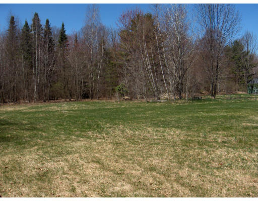 46 Paradise Lake Road Monson, MA 01057 - Photo 9 of 10 a backyard of a house with lots of green space