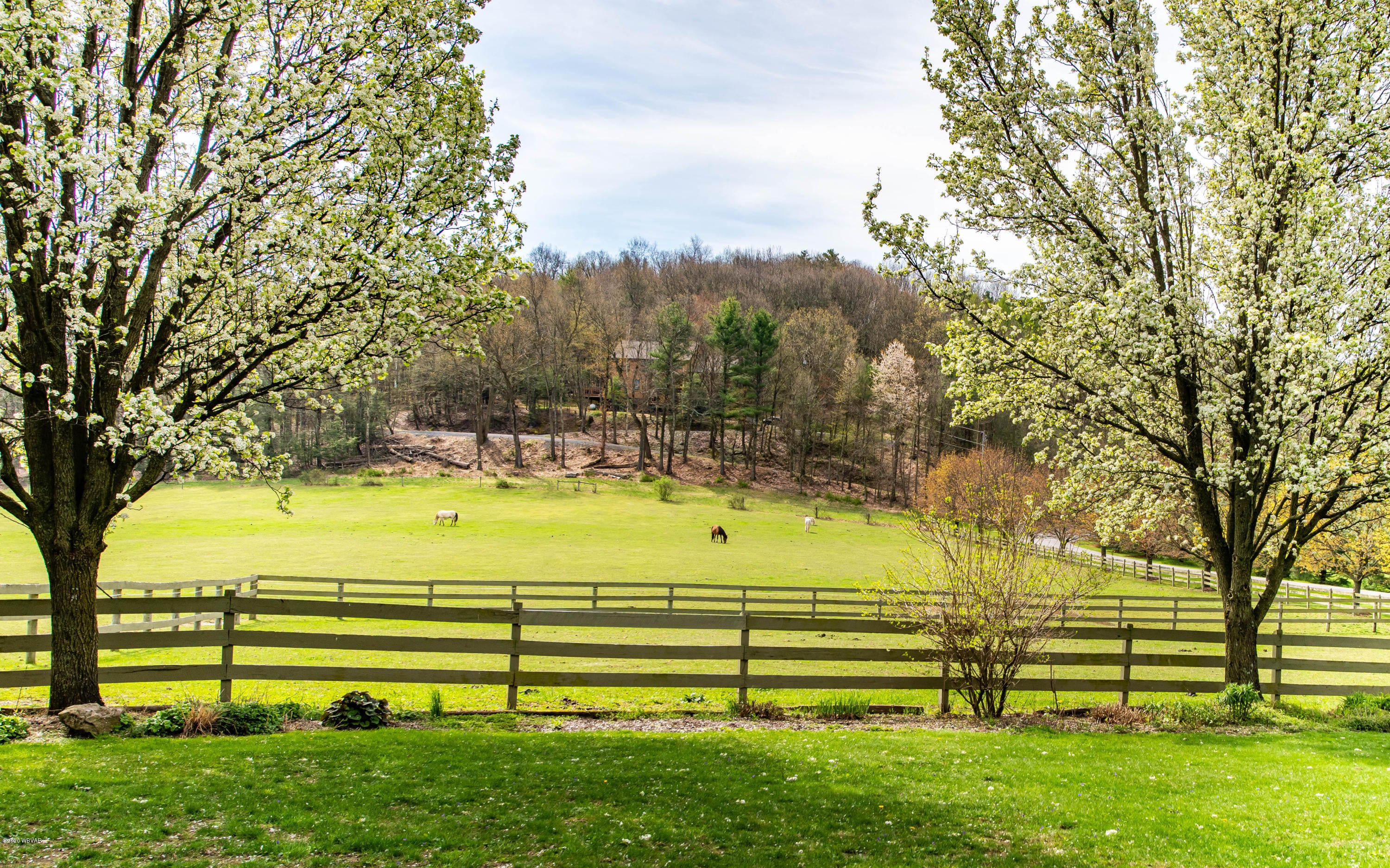 744 Grammer Road Williamsport, PA 17701 - Photo 20 of 69 Pasture view 3
