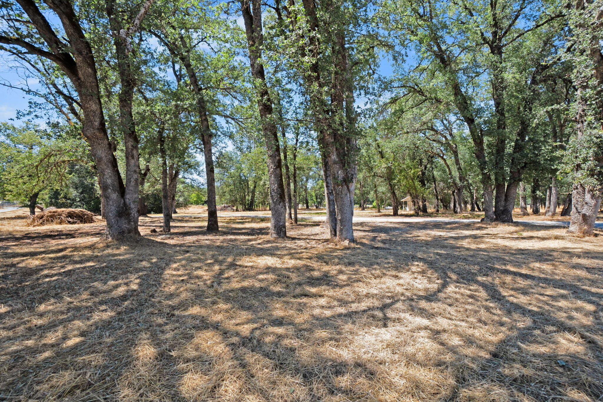 10753 French Creek Road Palo Cedro, CA 96073 - Photo 39 of 60 Land