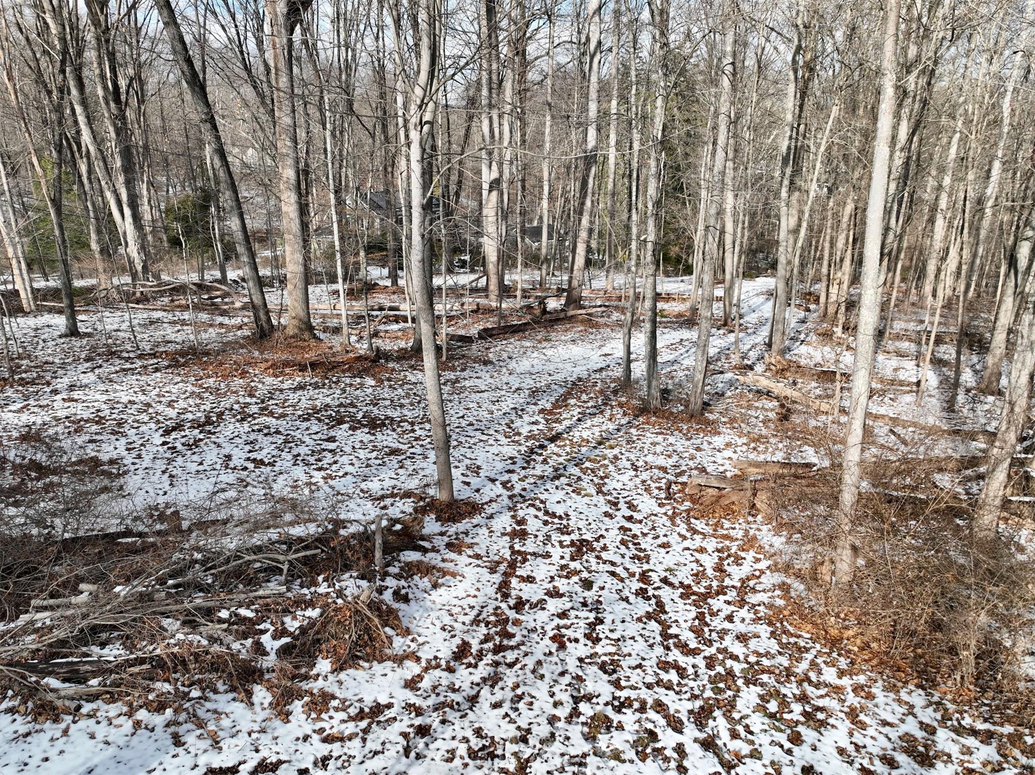 644 Pinesbridge Road Ossining, NY 10562 - Photo 1 of 1 a row of trees