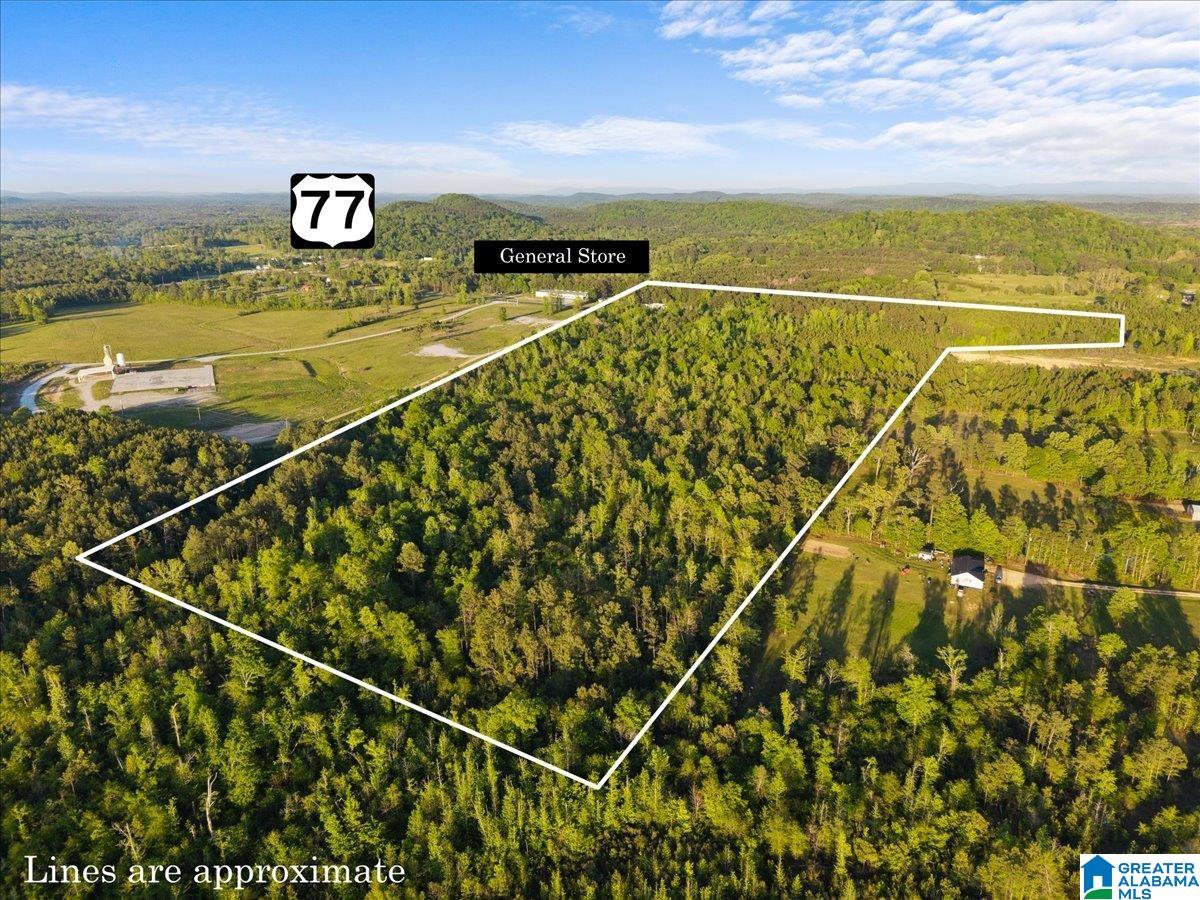 77 Ohatchee Al Ohatchee, AL 36271 - Photo 2 of 8