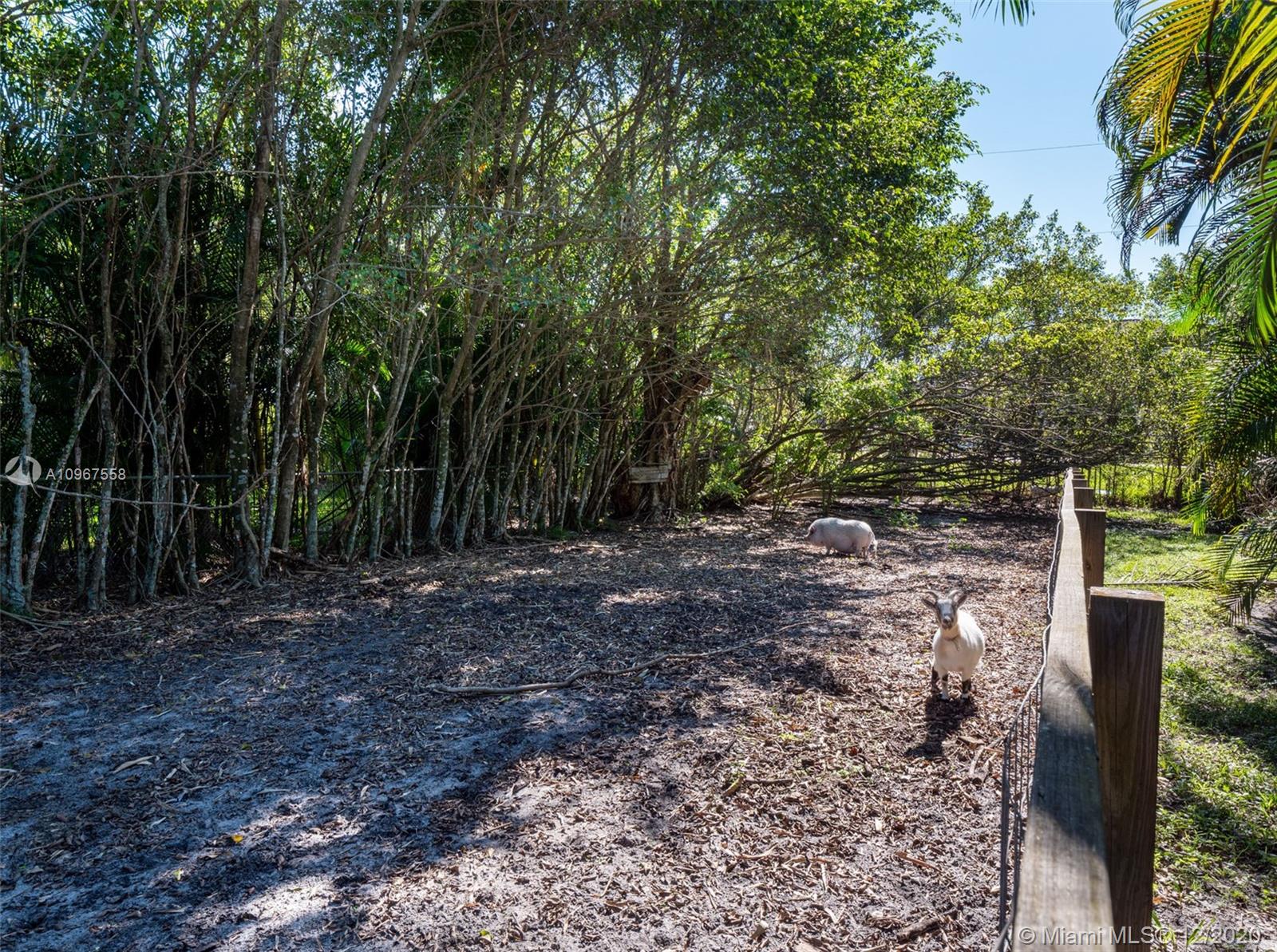 5500 Holatee Trail Southwest Ranches, FL 33330 - Photo 29 of 35 Gallery Image 29
