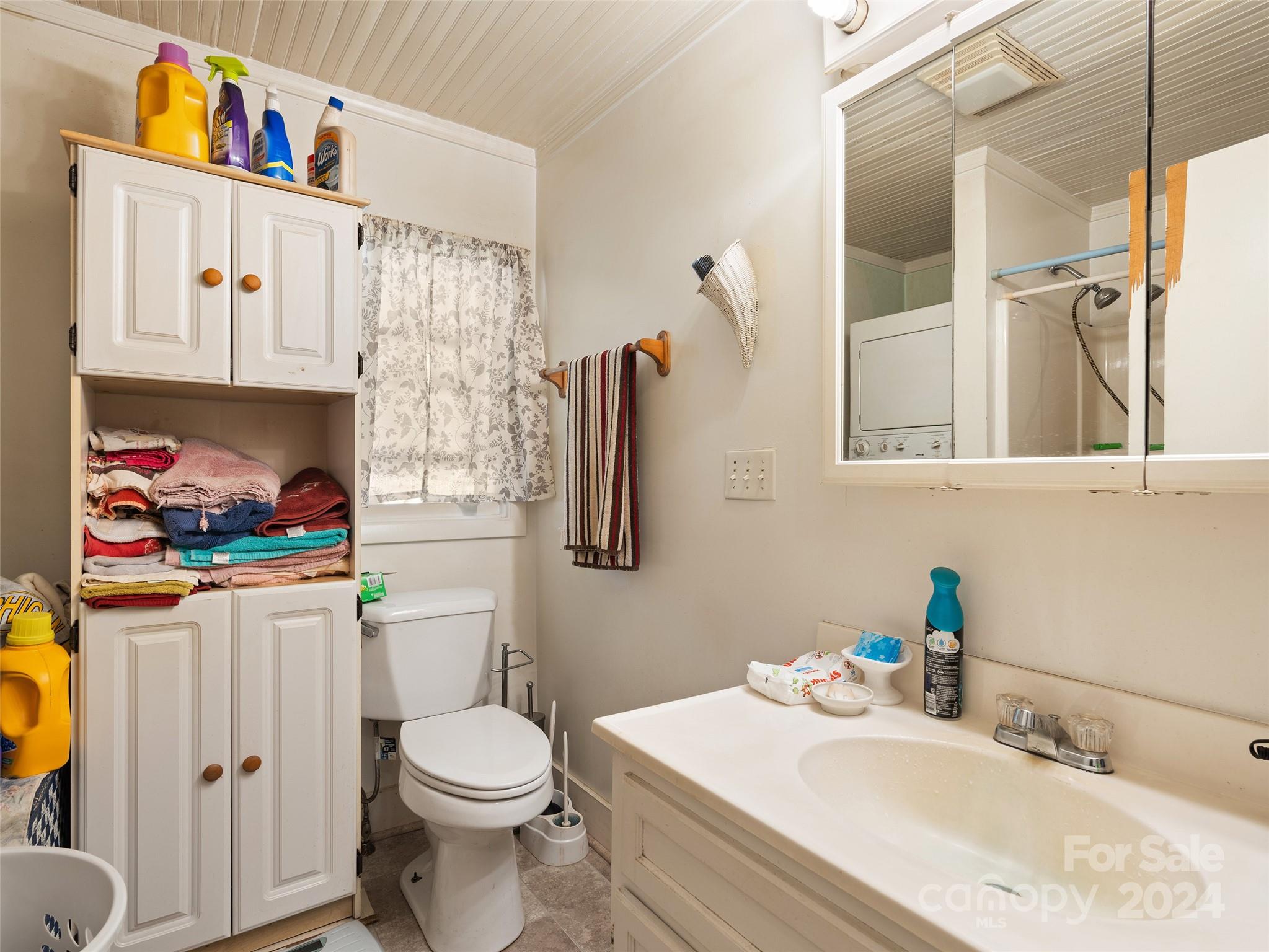 165 Van Arrington Road Clyde, NC 28721 - Photo 12 of 17 a bathroom with a sink a toilet and a shower curtain