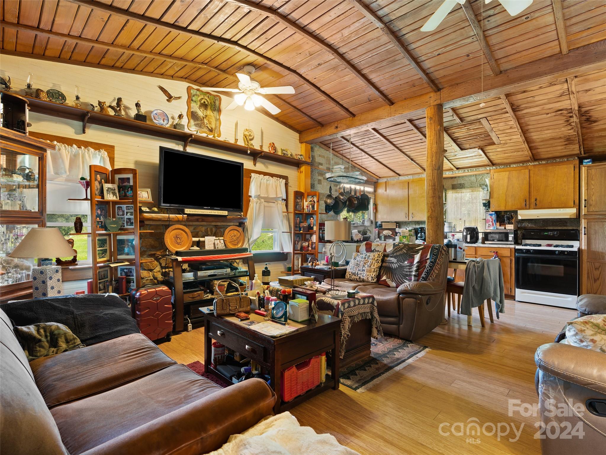 165 Van Arrington Road Clyde, NC 28721 - Photo 8 of 17 a living room with lots of furniture and a flat screen tv