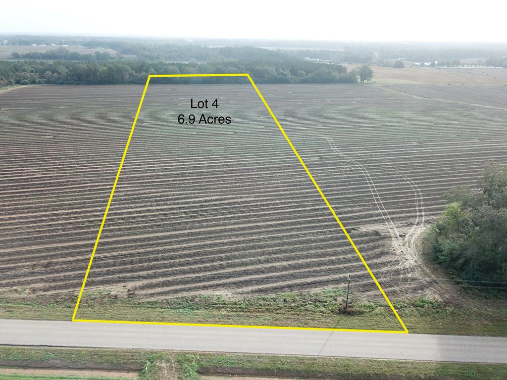 49 6.9-acre County Road Malvern, AL 36349 - Photo 1 of 1