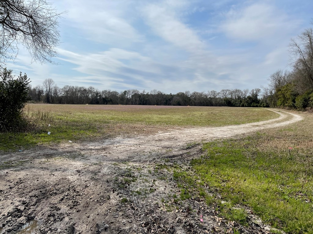 Lot 13 Hill Road Sumter, SC 29153 - Photo 2 of 4