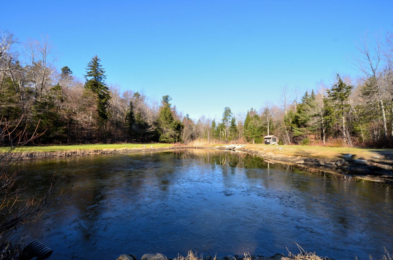 697 Woodmere Road Becket, MA 01223 - Photo 3 of 23 a view of pool with umbrella and trees