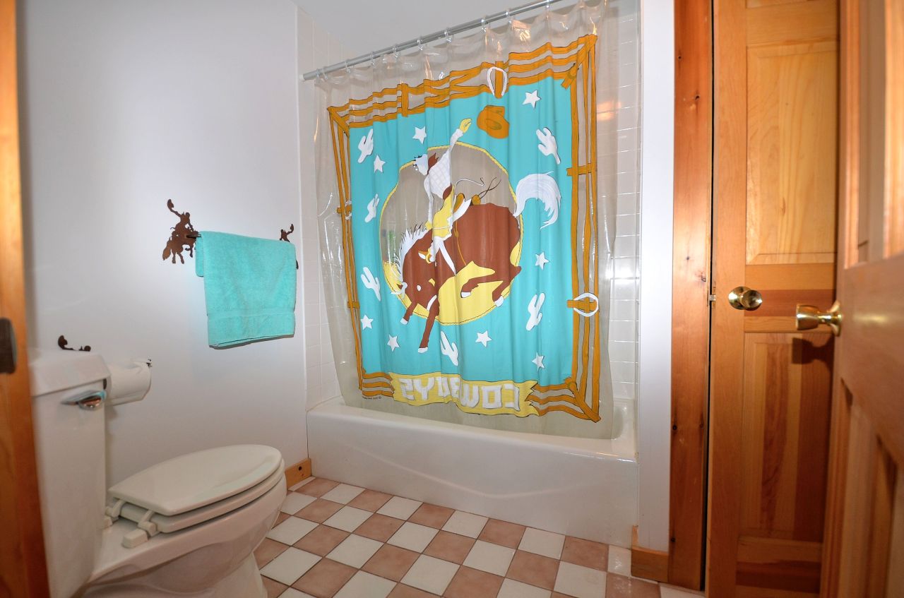 697 Woodmere Road Becket, MA 01223 - Photo 21 of 23 a bathroom with a toilet and a shower curtain