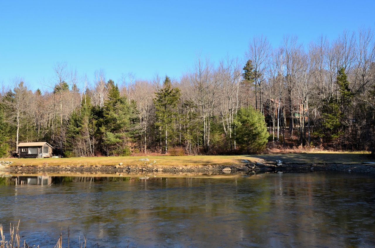697 Woodmere Road Becket, MA 01223 - Photo 6 of 23 a view of yard with trees