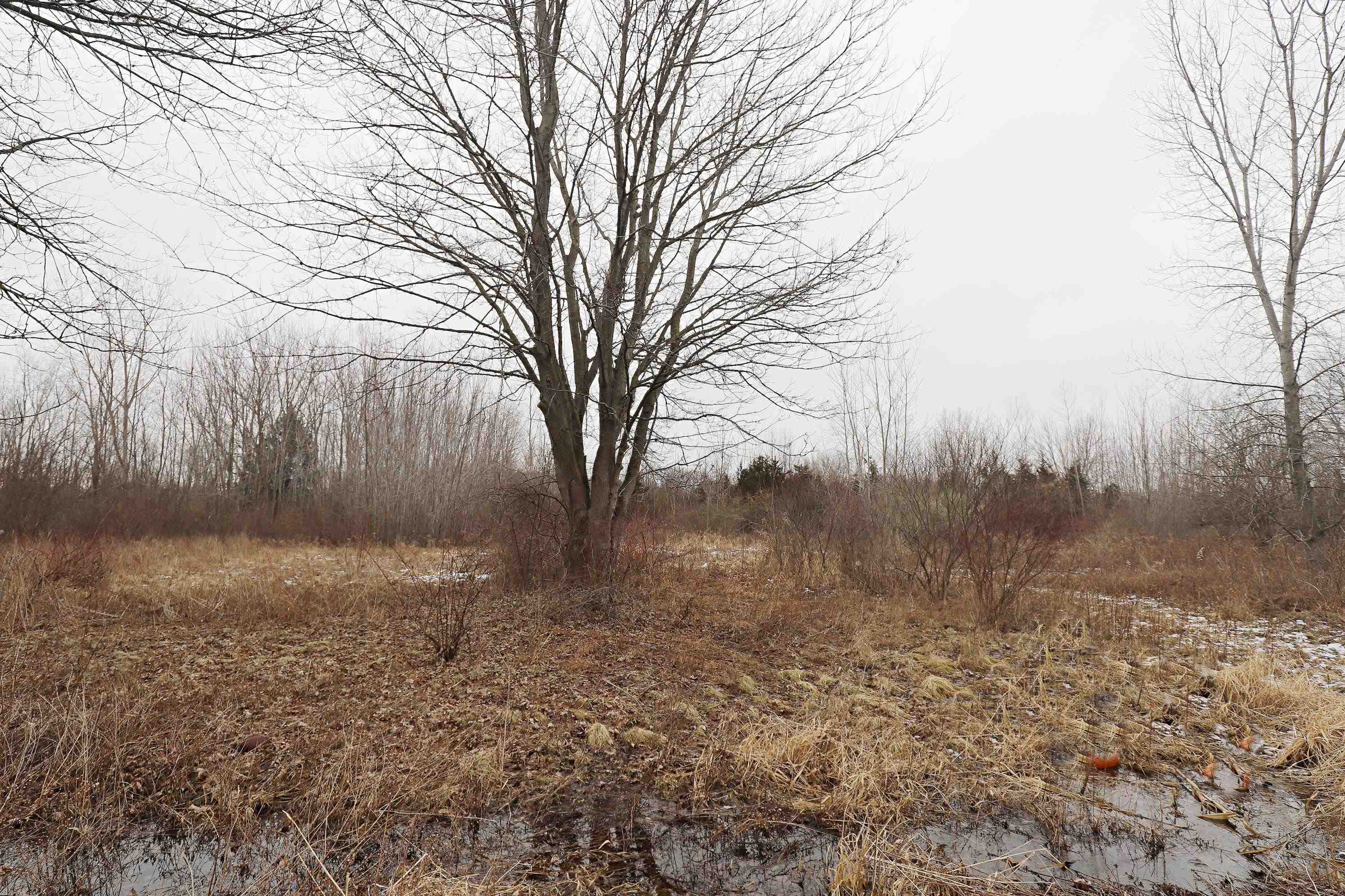 12803 Brady Road Chesaning, MI 48616 - Photo 12 of 19