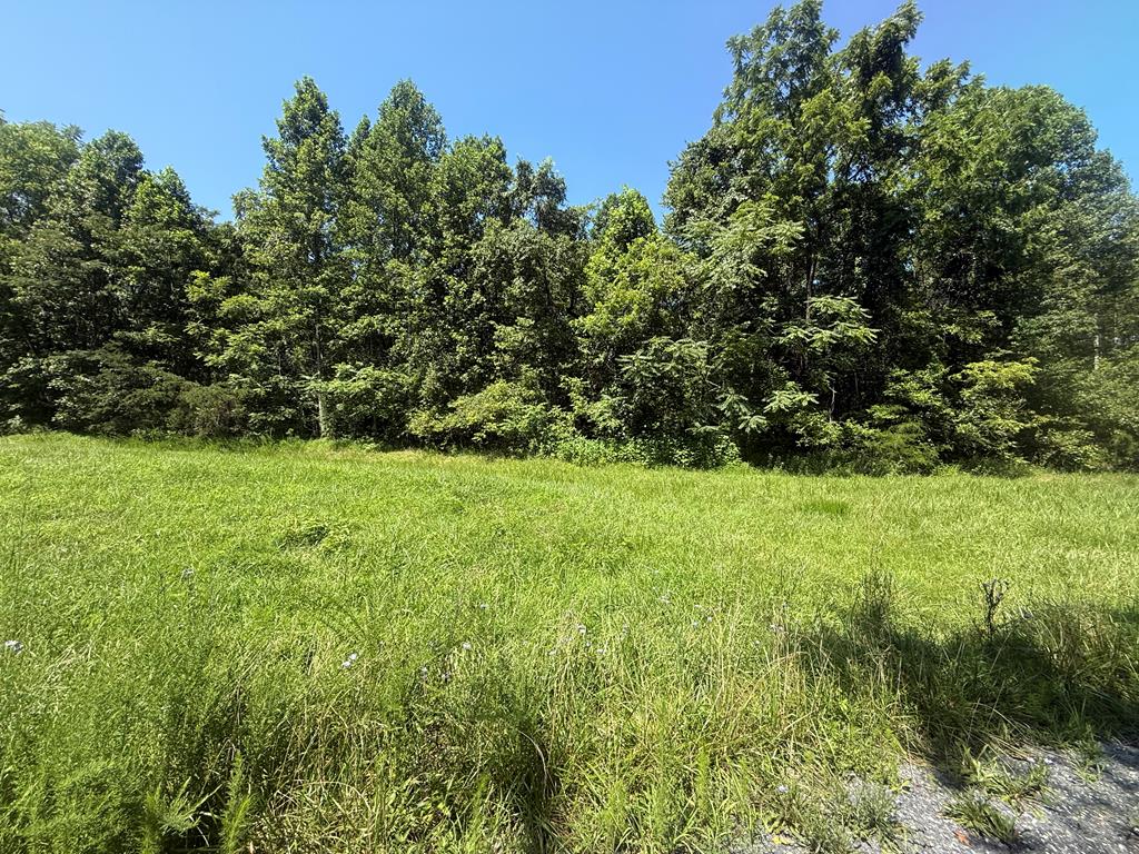 717 Shade Tree Road New Canton, VA 23123 - Photo 1 of 6 Gallery Image 1