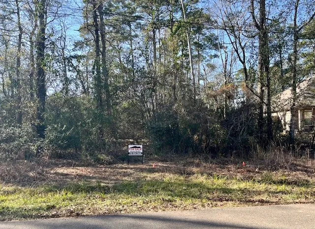 $32,500 | Na Big Spring Circle, Willis, TX 77378