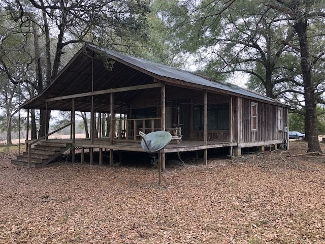 163.38-ac Cravey Bridge Road Florala, AL 36442 - Photo 8 of 49 Gallery Image 8