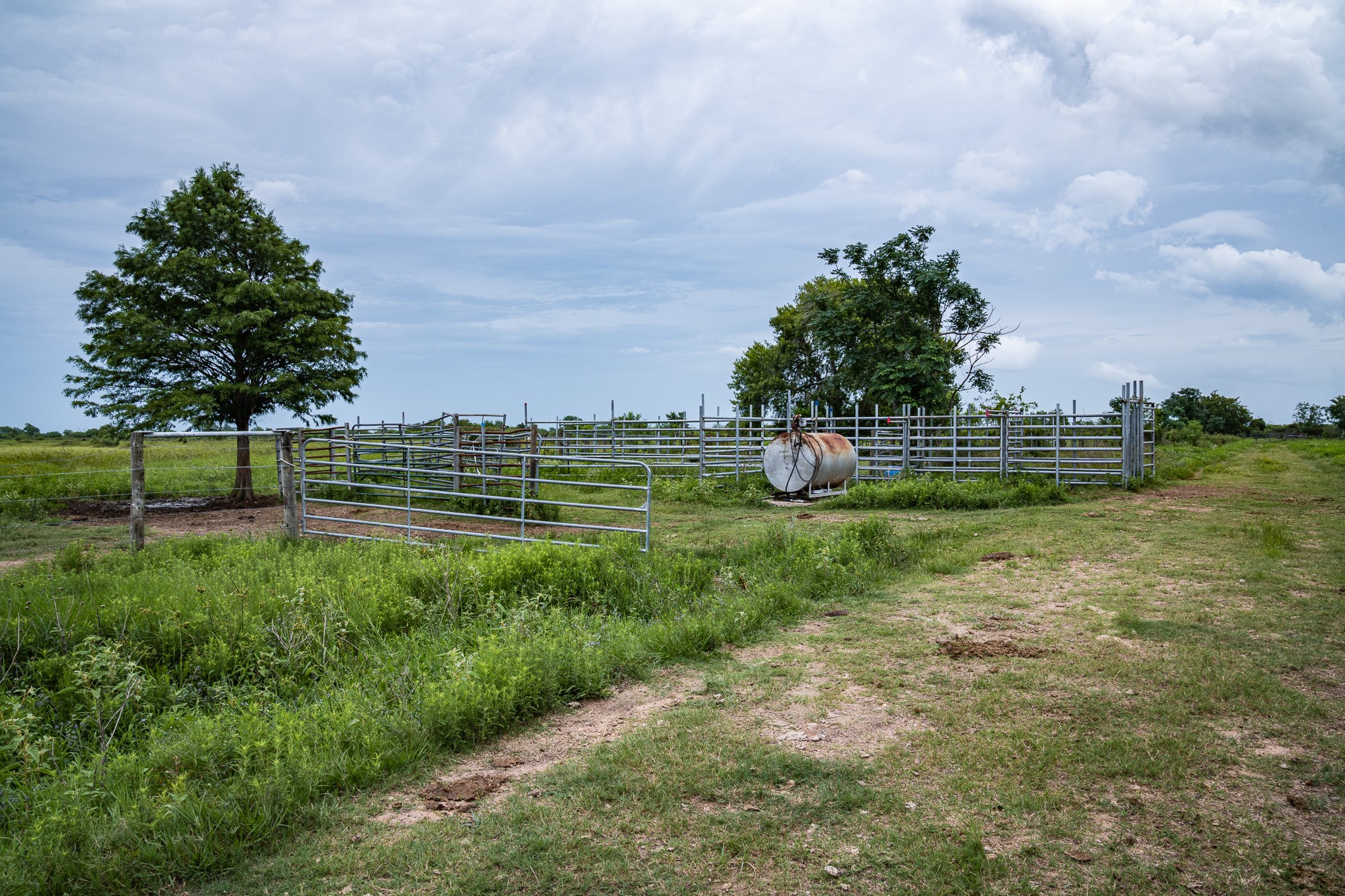 Tbd Rice Road Cat Spring, TX 78933 - Photo 26 of 39 a view of a golf course with a lake