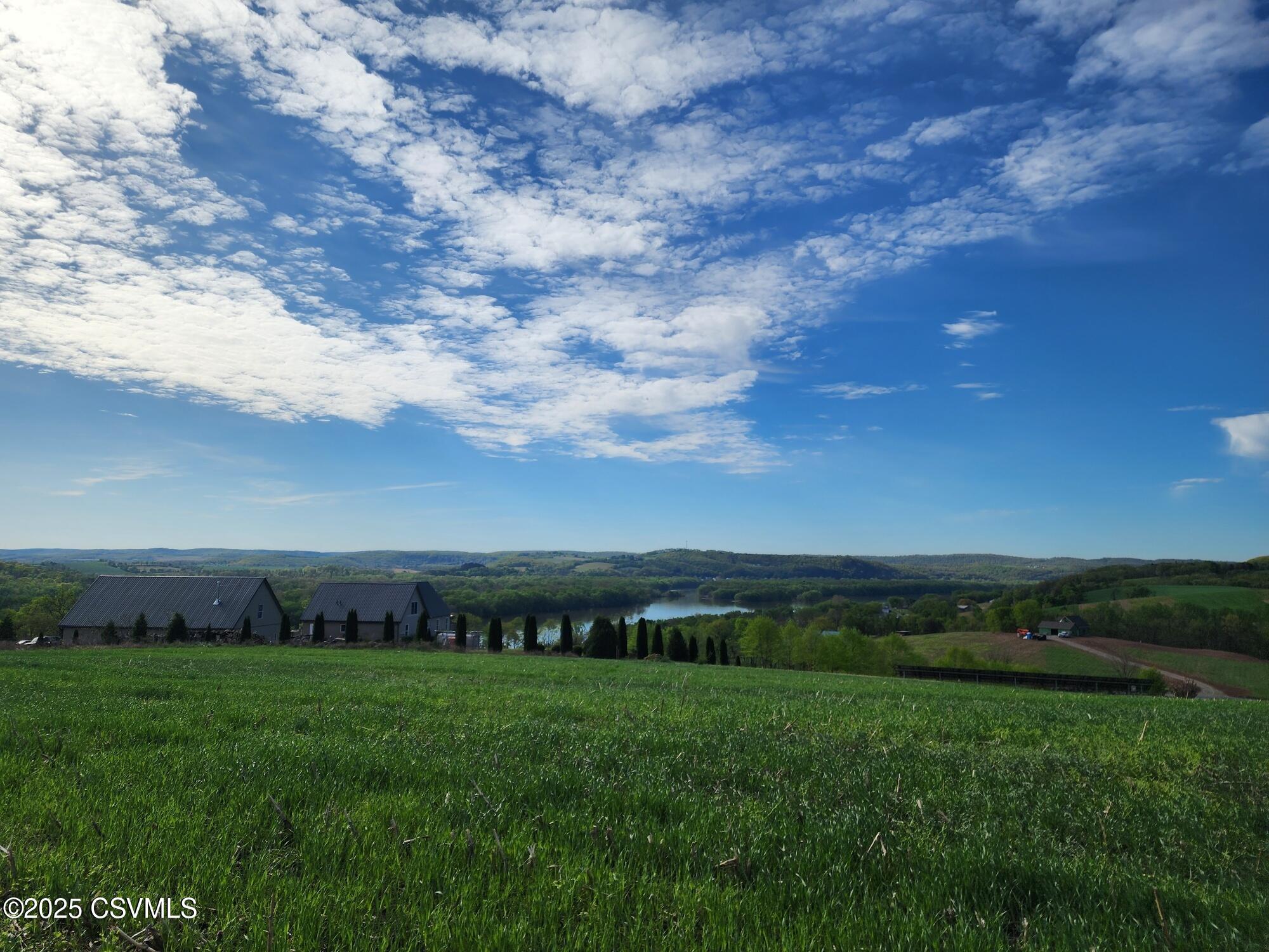 Roosters Rd Port Port Trevorton, PA 17864 - Photo 8 of 23