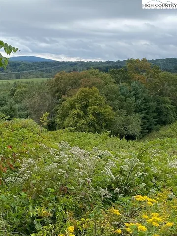 $22,671 | Lot #17 Fox Trot Lane, Sparta, NC 28675