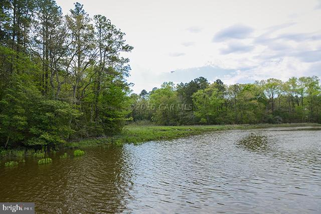 7368 Cherry Walk Road Hebron, MD 21830 - Photo 11 of 54