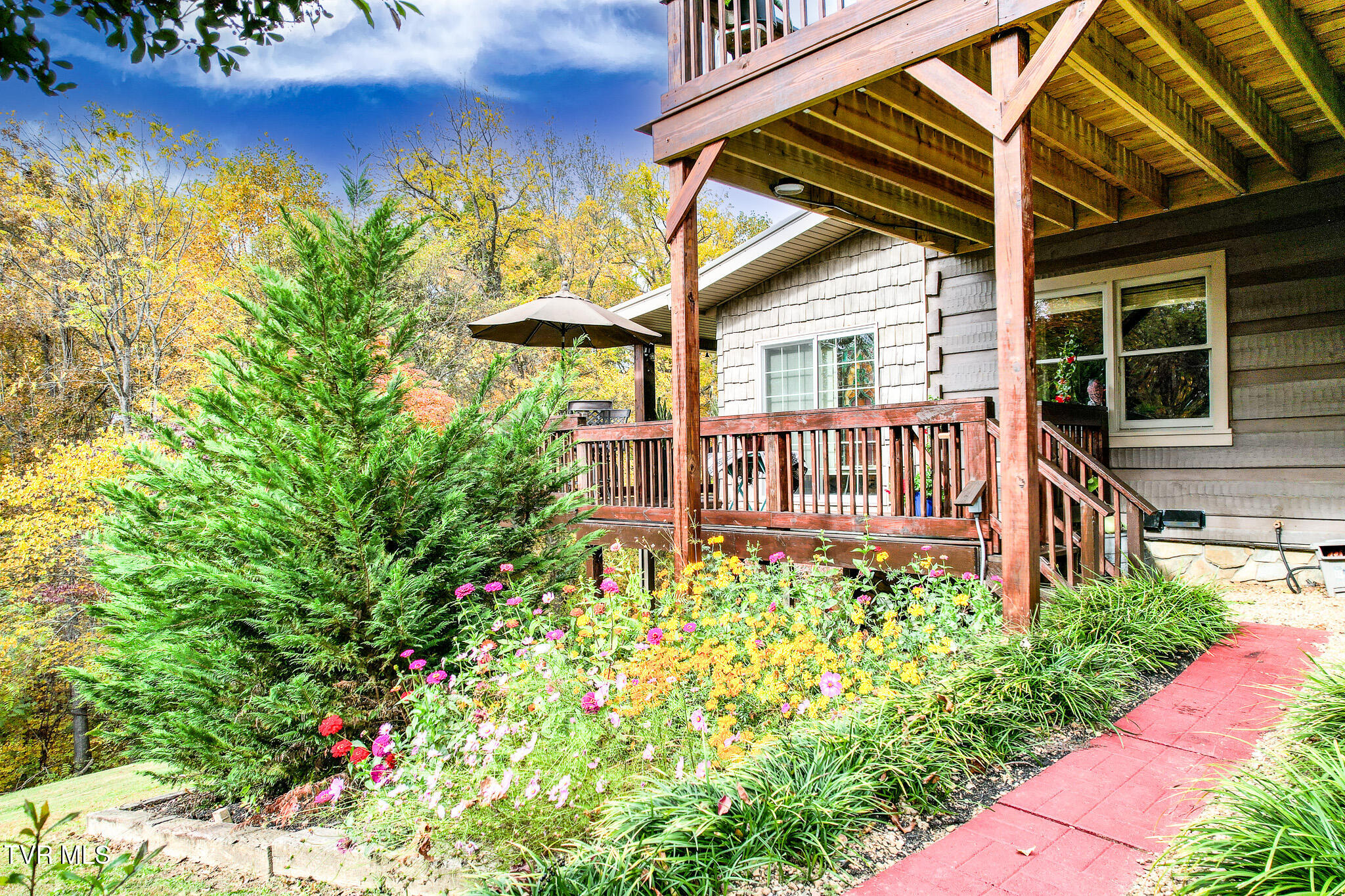 570 Leonard Road Greeneville, TN 37743 - Photo 46 of 85 DJI_0006-Edit