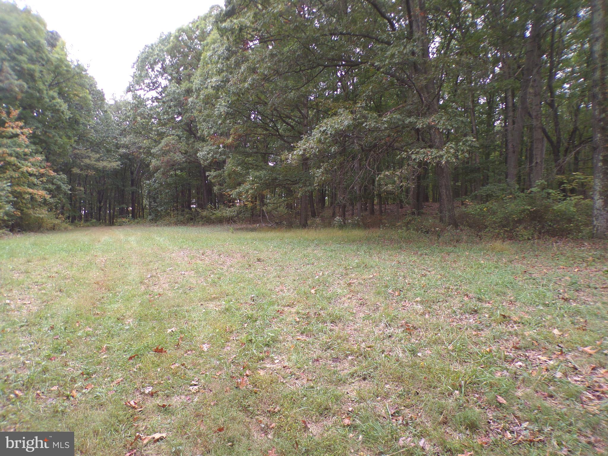 19114 Middle Ridge Road Southwest Rawlings, MD 21557 - Photo 1 of 38 Gallery Image 1