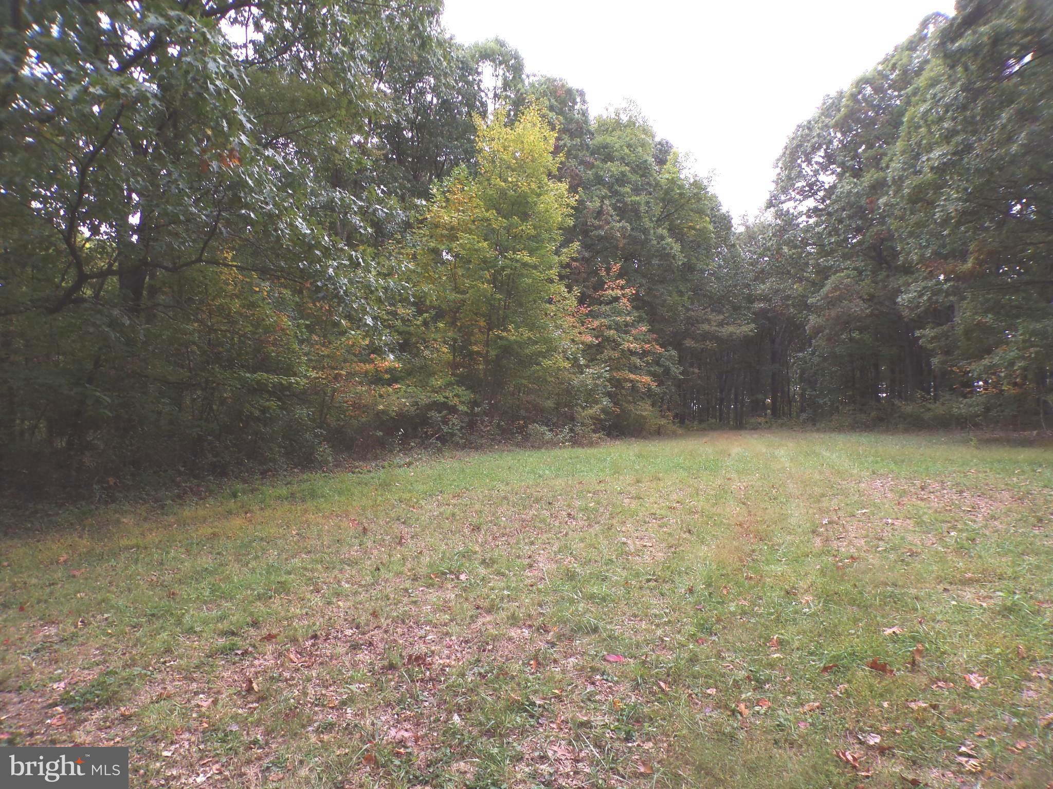 19114 Middle Ridge Road Southwest Rawlings, MD 21557 - Photo 2 of 38 Gallery Image 2
