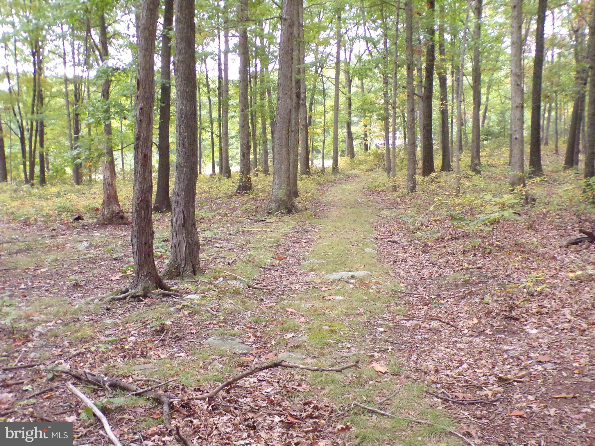 19114 Middle Ridge Road Southwest Rawlings, MD 21557 - Photo 22 of 38 Gallery Image 22