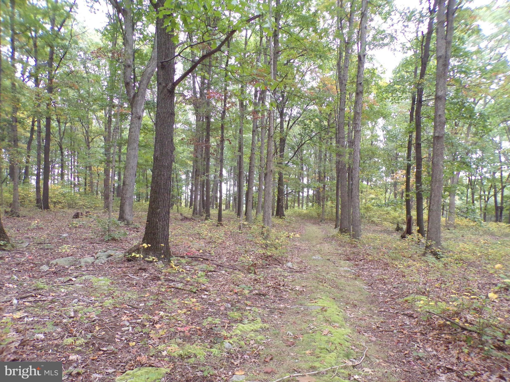 19114 Middle Ridge Road Southwest Rawlings, MD 21557 - Photo 24 of 38 Gallery Image 24