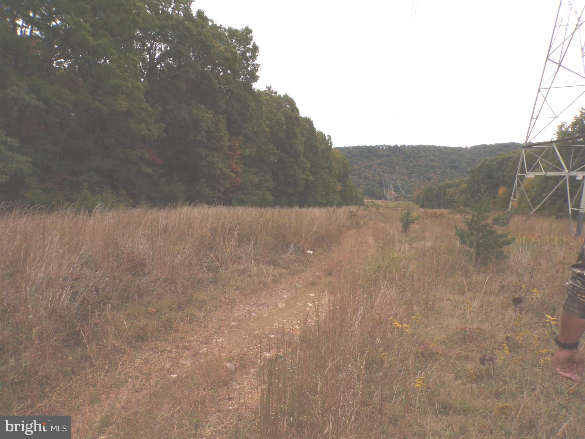 19114 Middle Ridge Road Southwest Rawlings, MD 21557 - Photo 28 of 38 Gallery Image 28