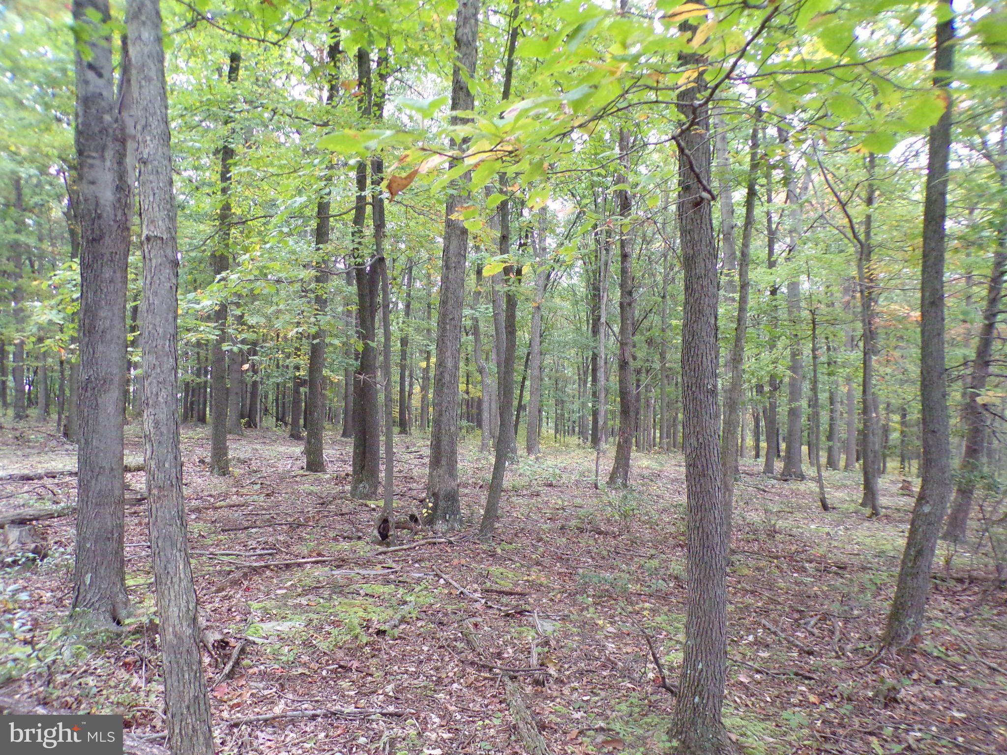 19114 Middle Ridge Road Southwest Rawlings, MD 21557 - Photo 30 of 38 Gallery Image 30