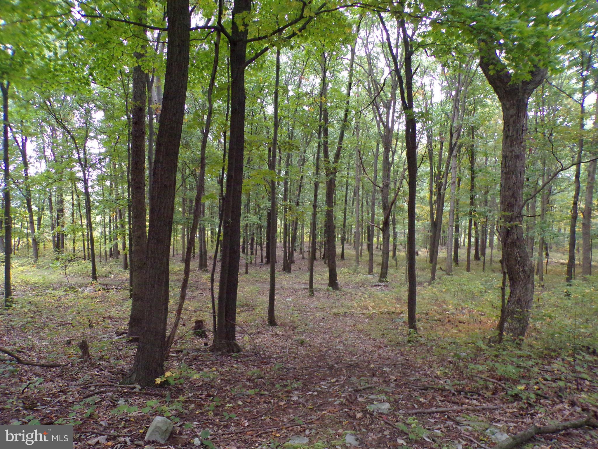 19114 Middle Ridge Road Southwest Rawlings, MD 21557 - Photo 34 of 38 Gallery Image 34