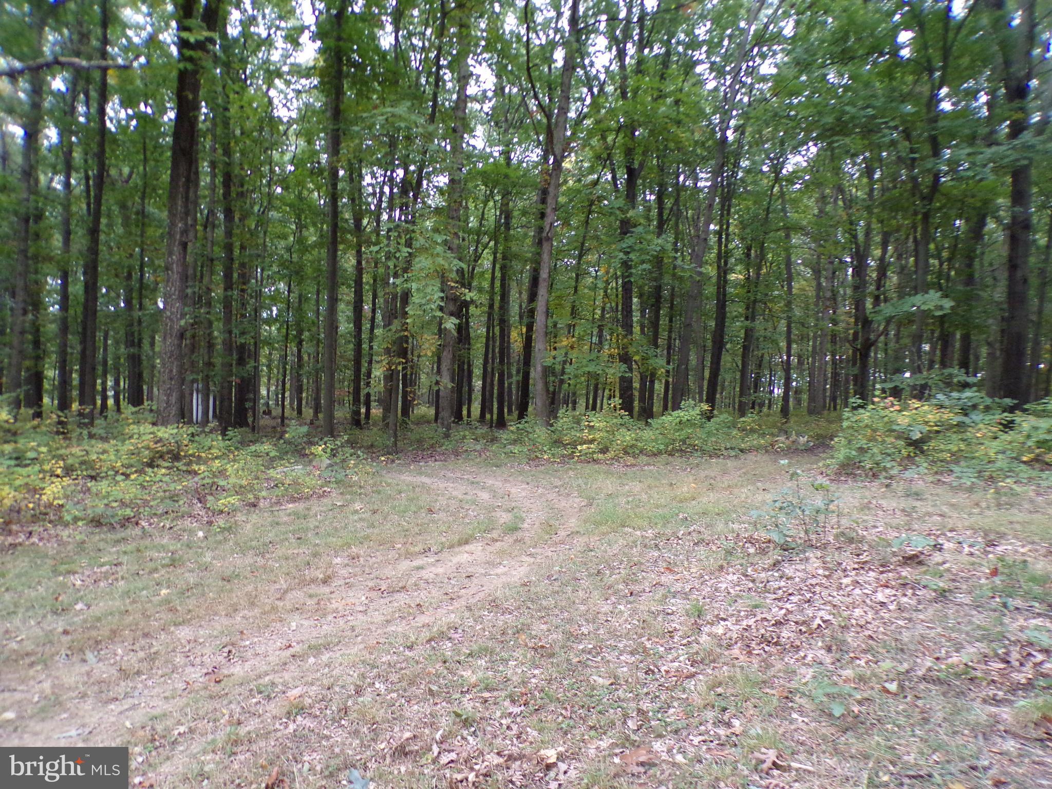 19114 Middle Ridge Road Southwest Rawlings, MD 21557 - Photo 35 of 38 Gallery Image 35