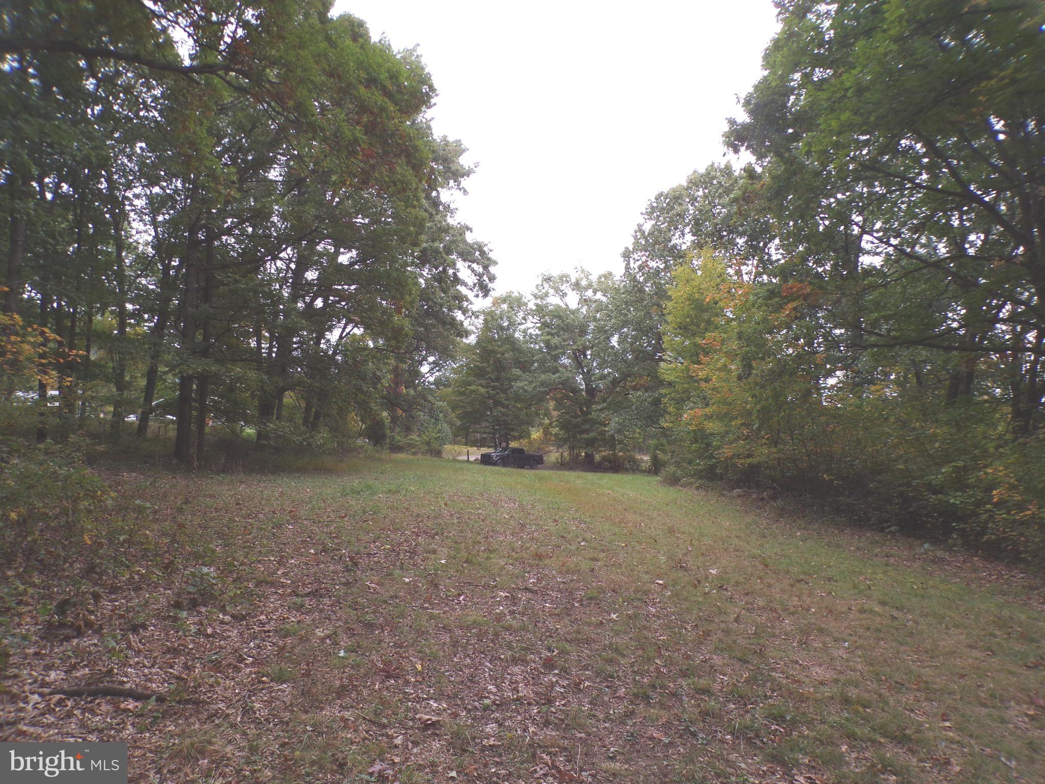 19114 Middle Ridge Road Southwest Rawlings, MD 21557 - Photo 36 of 38 Gallery Image 36
