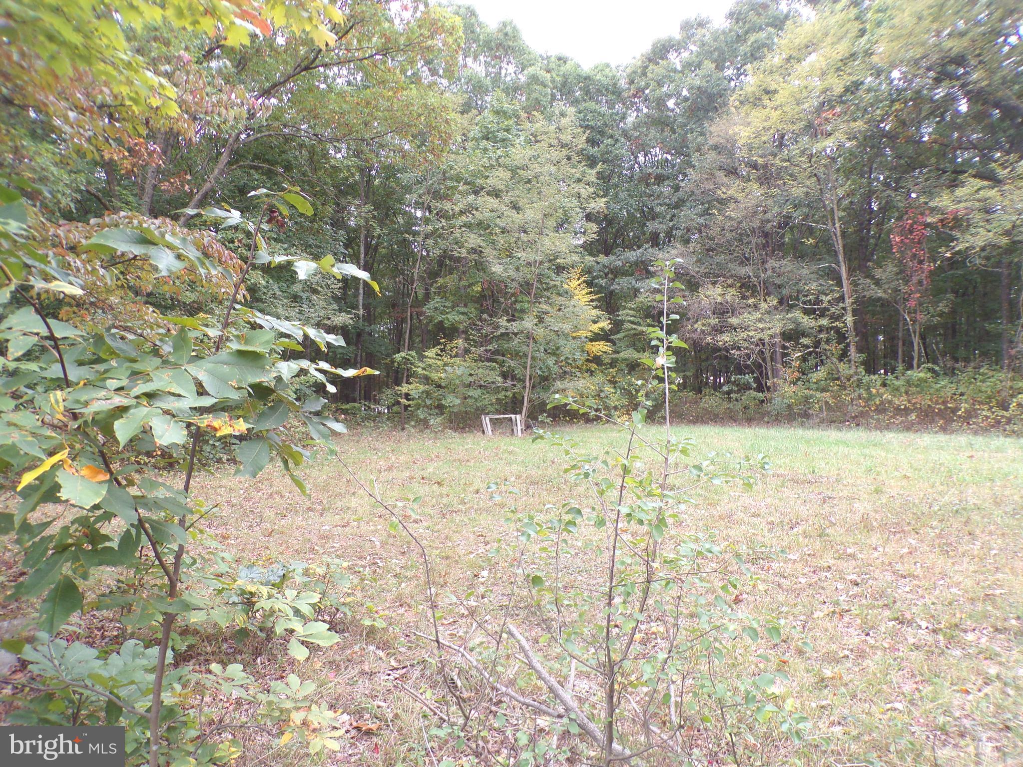 19114 Middle Ridge Road Southwest Rawlings, MD 21557 - Photo 37 of 38 Gallery Image 37