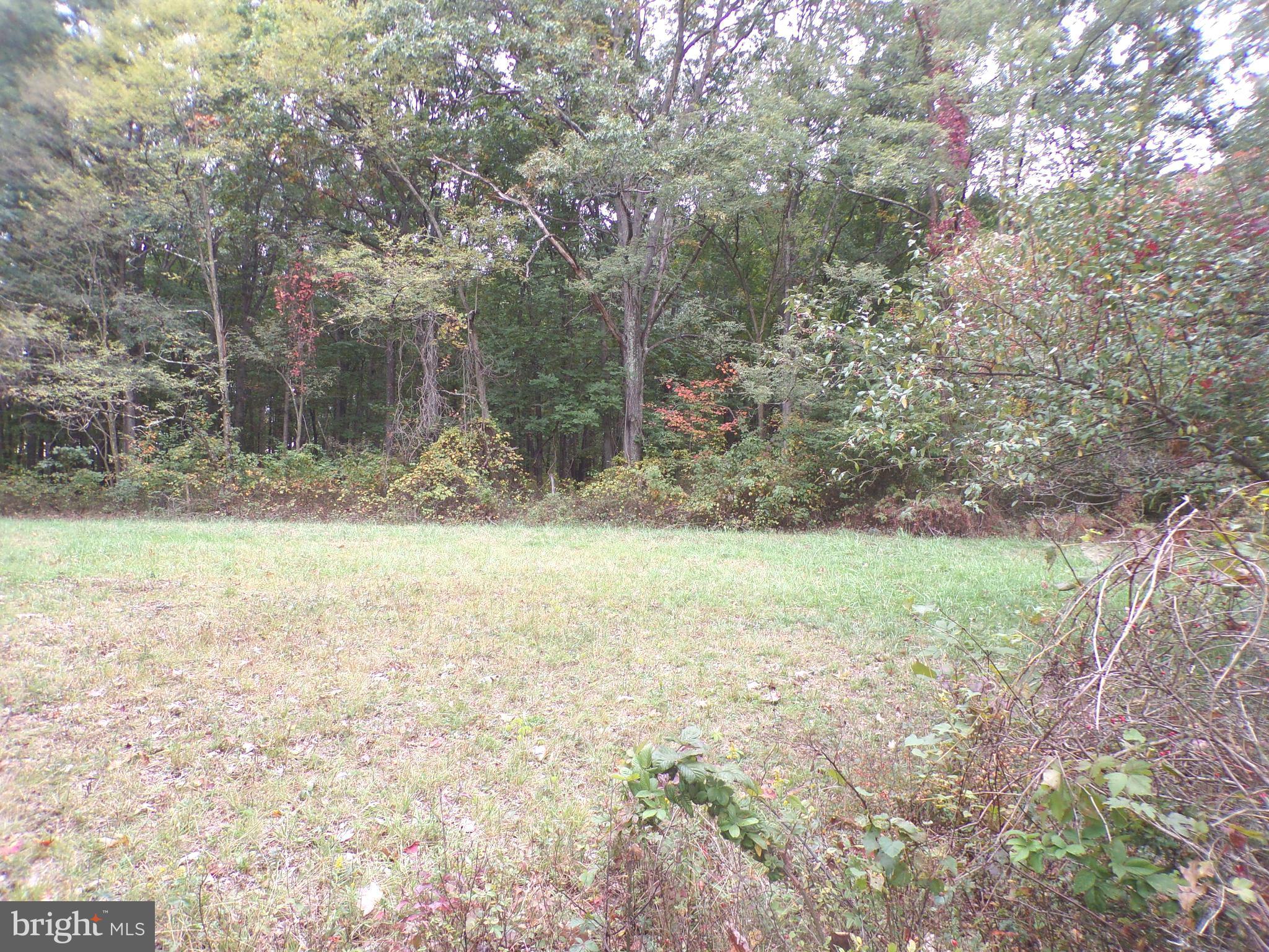 19114 Middle Ridge Road Southwest Rawlings, MD 21557 - Photo 38 of 38 Gallery Image 38