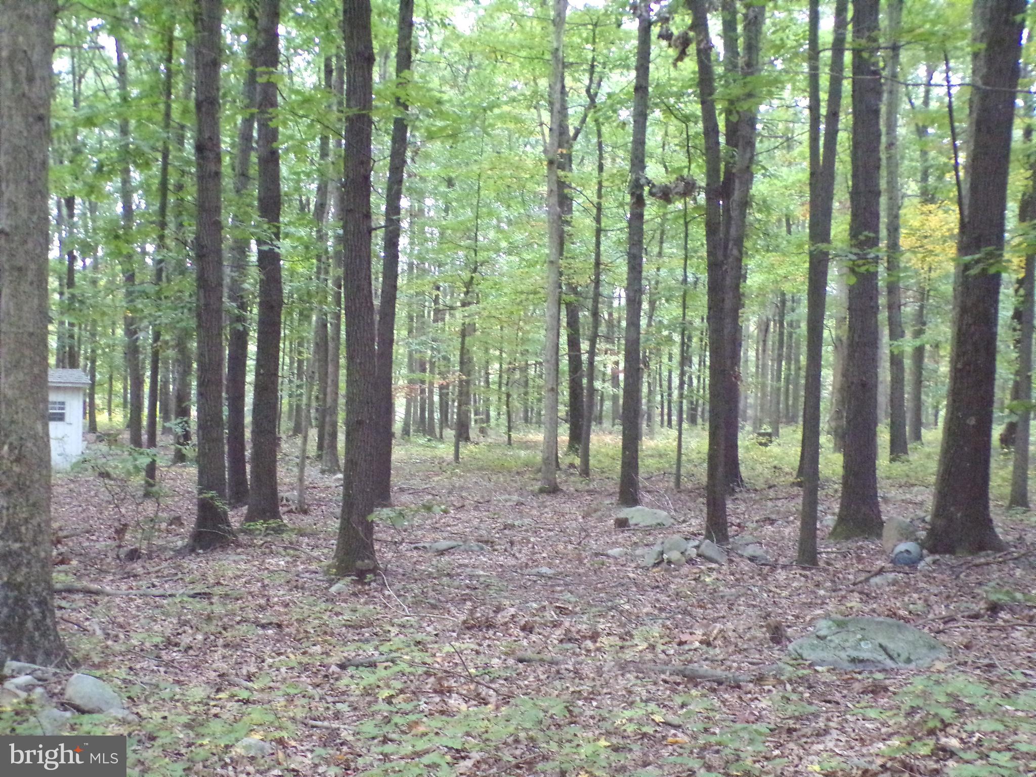 19114 Middle Ridge Road Southwest Rawlings, MD 21557 - Photo 5 of 38 Gallery Image 5